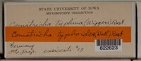 Image Associated With the Occurence